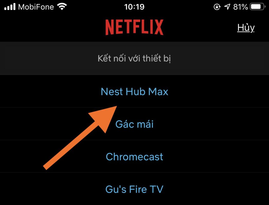 Cast netflix len nest hub max scaled