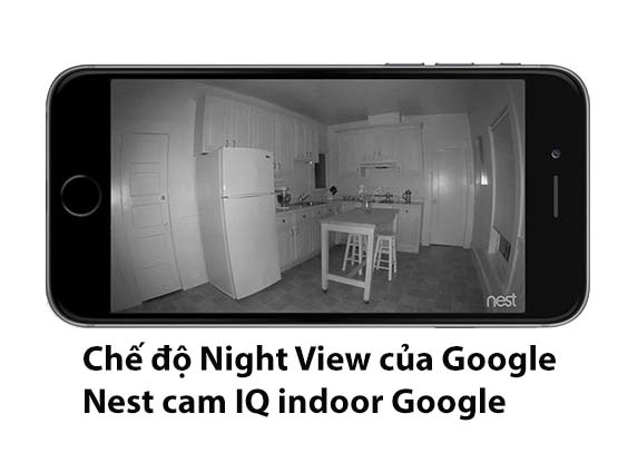 google nest iq indoor night view 1