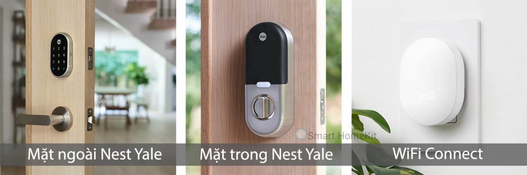 google nest yale all
