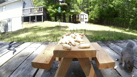 huong dan cai dat wyze cam outdoor 8